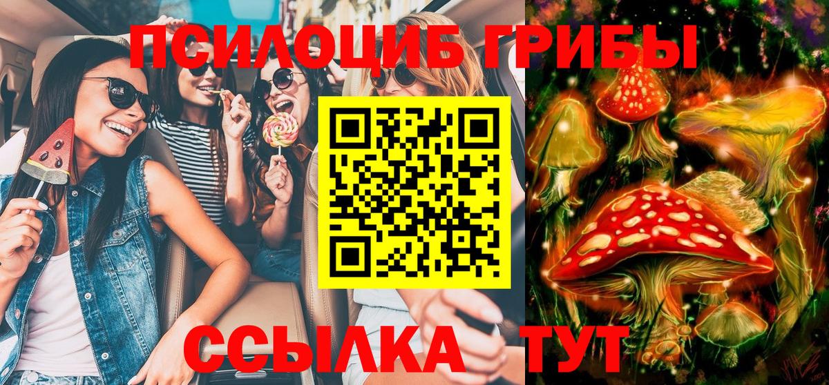 Псилоцибиновые грибы прущие грибы Черкесск